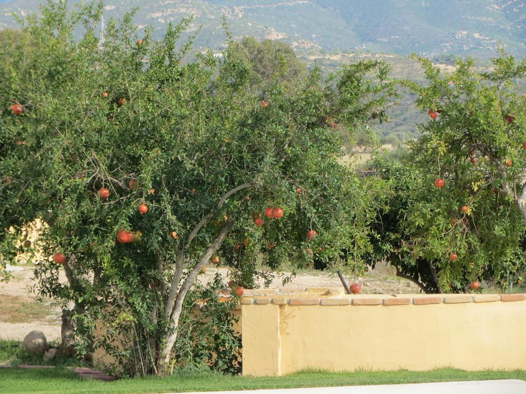 Bulcrini Sant Isidoro (Sardinia)